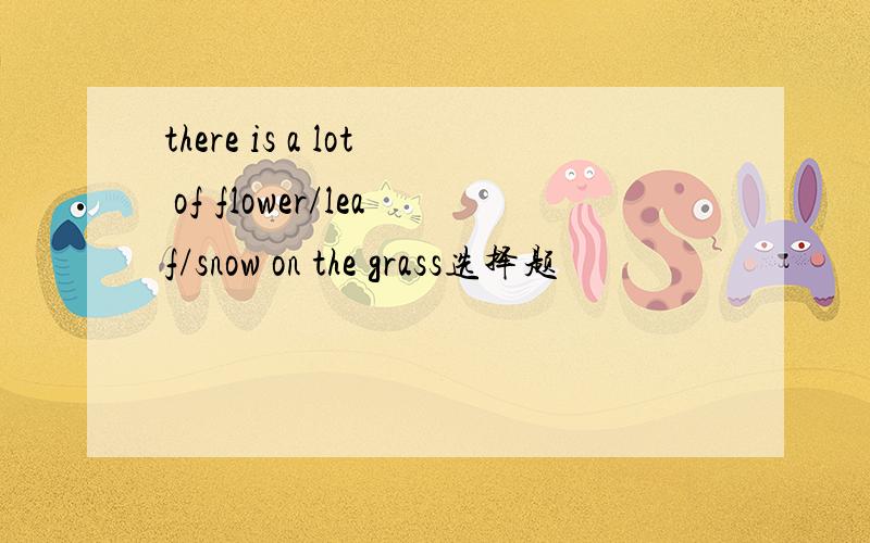there is a lot of flower/leaf/snow on the grass选择题