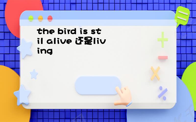 the bird is stil alive 还是living