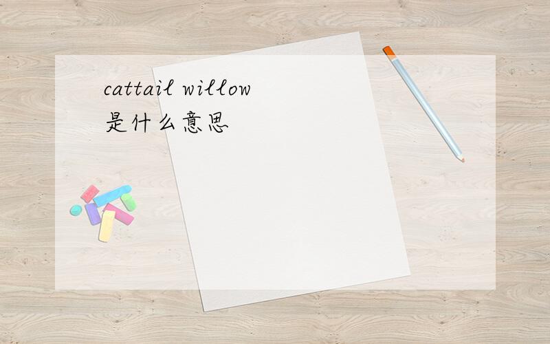 cattail willow是什么意思