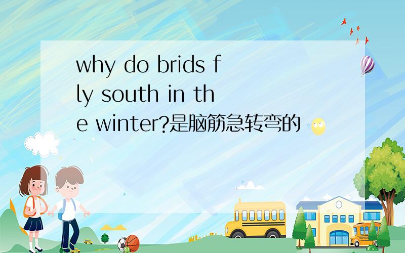 why do brids fly south in the winter?是脑筋急转弯的
