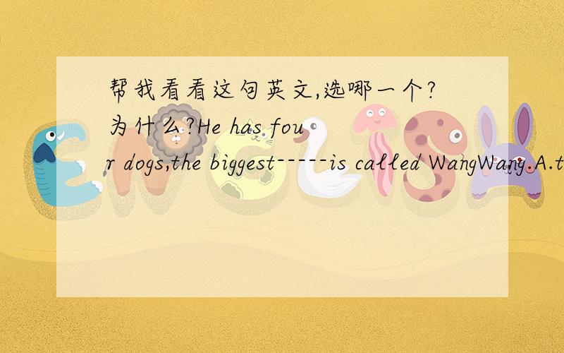 帮我看看这句英文,选哪一个?为什么?He has four dogs,the biggest-----is called WangWang.A.that B about which C.of which D.which
