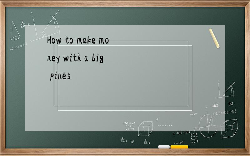 How to make money with a big pines
