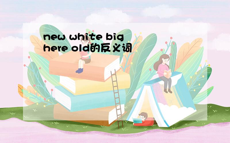 new white big here old的反义词