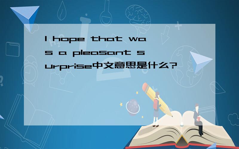 I hope that was a pleasant surprise中文意思是什么?