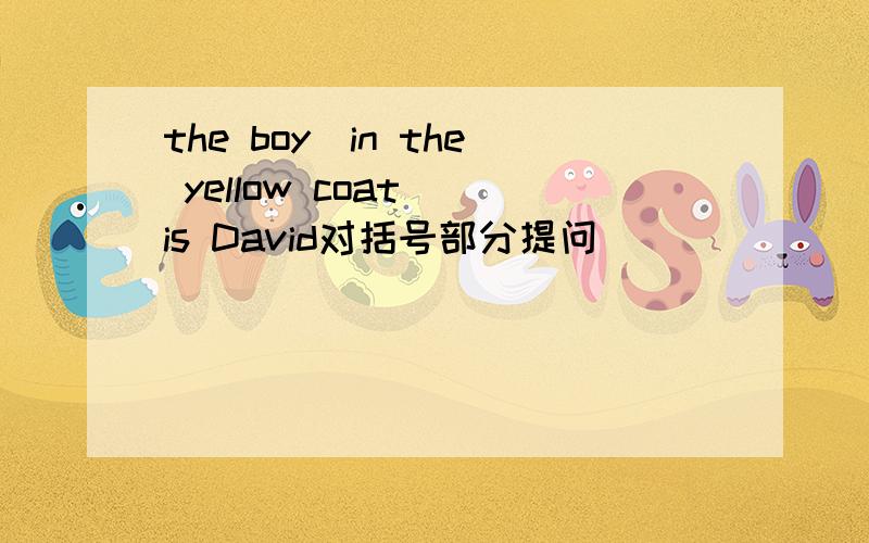 the boy(in the yellow coat) is David对括号部分提问___ ___ is David?