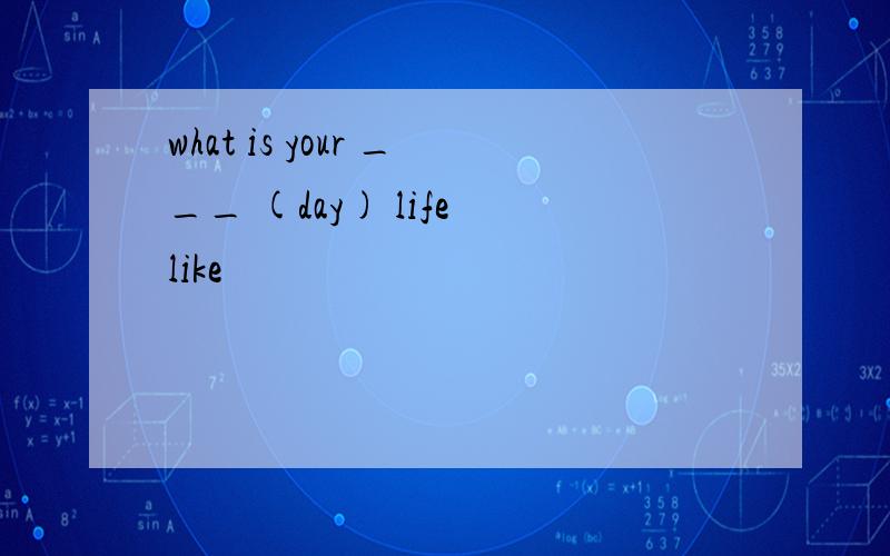 what is your ___ (day) life like
